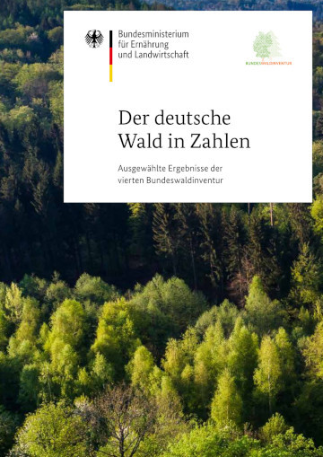 Titelbild der Publikation "Vierte Bundeswaldinventur – Der deutsche Wald in Zahlen (Flyer)"