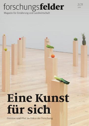Titelbild der Publikation "forschungsfelder 2/2021 - Eine Kunst für sich"
