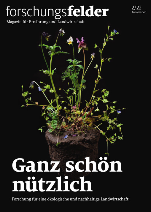 Titelbild der Publikation "forschungsfelder 2/2022 - Ganz schön nützlich"