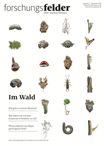 Titelbild der Publikation "forschungsfelder 3/2016 - Im Wald"