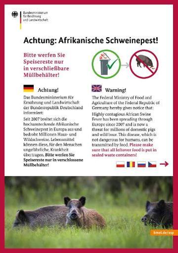 Titelbild der Publikation "Handzettel des Bundesministeriums für Ernährung und Landwirtschaft mit Informationen zur Afrikanischen Schweinepest in sechs Sprachen."