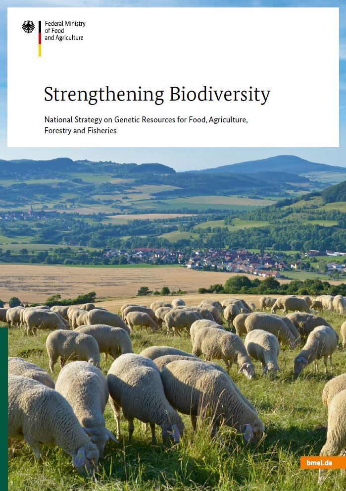 Titelbild der Publikation "Strengthening Biodiversity"