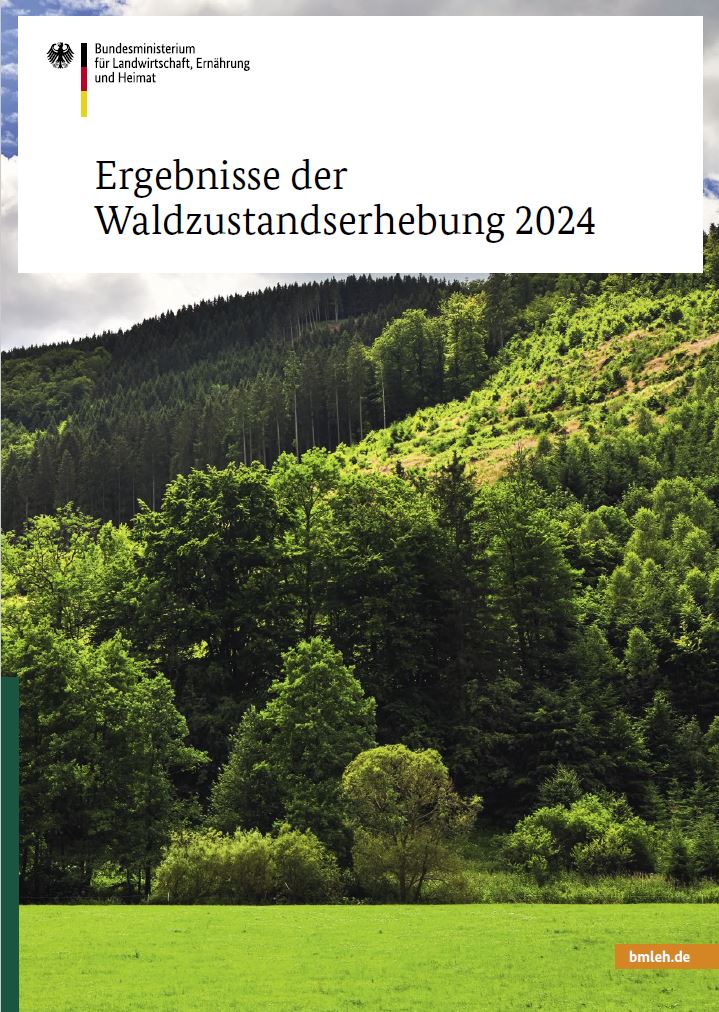 Titelbild der Publikation "Ergebnisse der Waldzustandserhebung 2024"