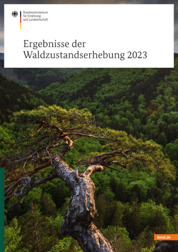Titelbild der Publikation "Waldzustandserhebung 2023"
