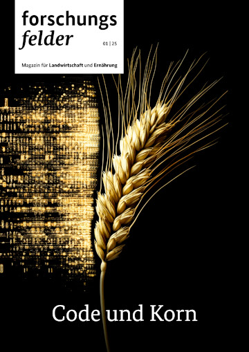Titelbild der Publikation "forschungsfelder 1/2025: Code und Korn"