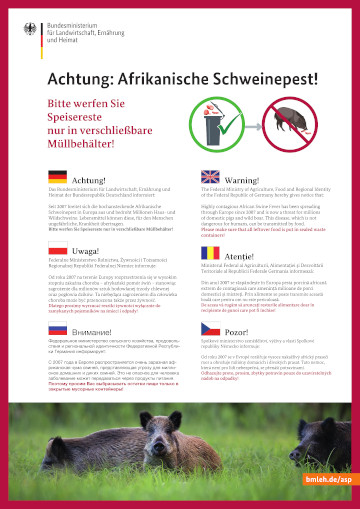 Titelbild der Publikation "Poster: Afrikanische Schweinepest"