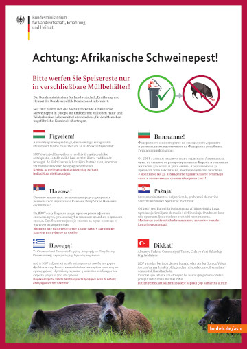 Titelbild der Publikation "Südroute - Handzettel des Bundesministeriums für Landwirtschaft, Ernärung und Heimat mit Informationen zur Suedroute der Afrikanischen Schweinepest"